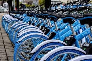 小鸣单车最新爆料,揭秘共享单车行业困境与未来走向”